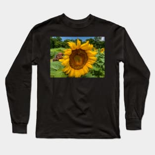 Sunflower Time Long Sleeve T-Shirt